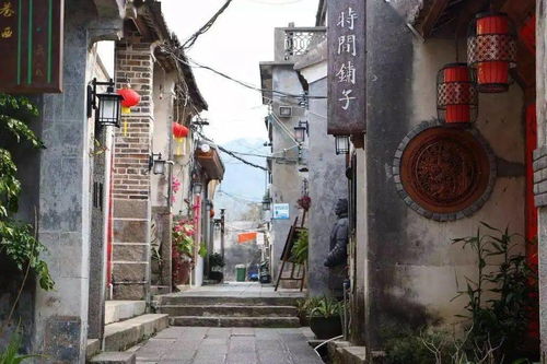 二四六天下彩天天免费大全|探索神秘古镇的魅力与风情_纯净型.1.867