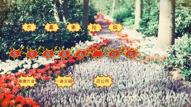 216677最准一肖一码|揭秘财富增长的秘密策略_自在版.4.143